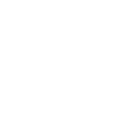 Website Speed Optimized